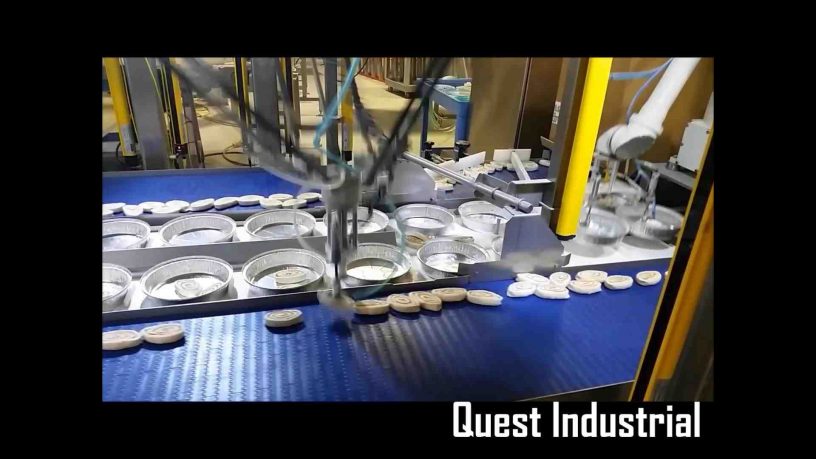 spider robot pick and place